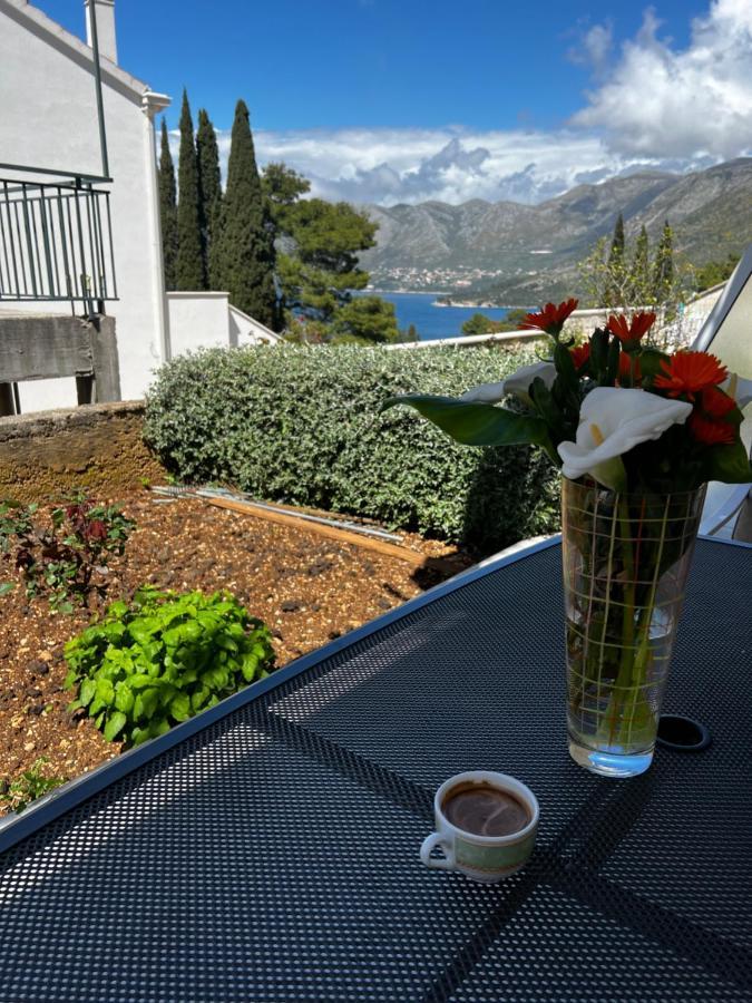 Apartments Epidaurus Cavtat Eksteriør bilde